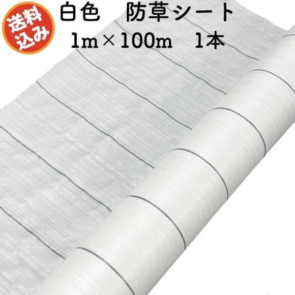 防草シート 白色（サンホワイト） 1m×100m 1本 抗菌剤 UV剤入り 反射 除草シート 雑草対...