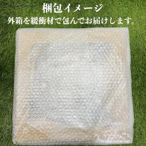 お花のナチュラルリース Mサイズ 約25cm ...の詳細画像1