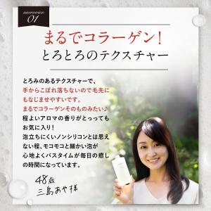 シャンプー 詰め替え パウチ【公式】 ノ・アル...の詳細画像4