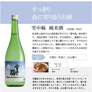【獺祭45×雪中梅純米酒】720ml2本セットの詳細画像5