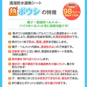 熱ボウシ 帽子やヘルメットに入れる 熱ボウシシ...の詳細画像4