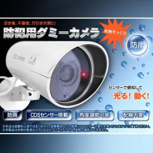 ダミーカメラ カメラ 防犯カメラ 防雨 人感センサー 赤色LED 自動旋廻 不審者 夜間 屋外 駐車場 オフィス 店舗 自宅 ゴミ捨て場 不法投棄防止 (sc-0224)