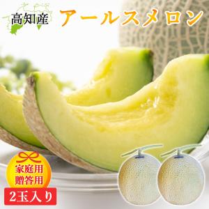 メロン 高知県夜須産 ”エメラルドメロン” ちょっと訳あり 大玉 5〜6玉