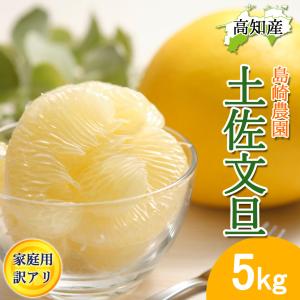 水晶文旦 送料無料 約10kgご家庭用 温室 水晶 文旦 訳あり サイズ