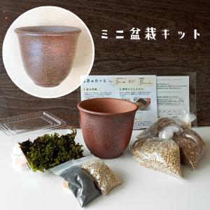盆栽キット 植え替え用材料 盆栽の作り方つきこけ コケ