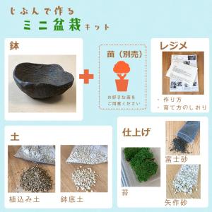 盆栽キット 植え替え用材料 くらま岩鉢 盆栽 ...の詳細画像2