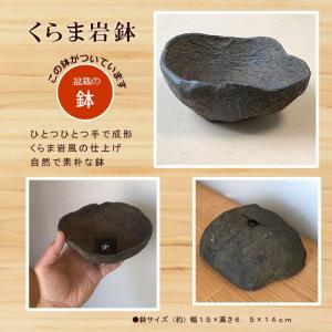 盆栽キット 植え替え用材料 くらま岩鉢 盆栽 ...の詳細画像3