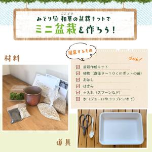 盆栽キット 植え替え用材料 くらま岩鉢 盆栽 ...の詳細画像5