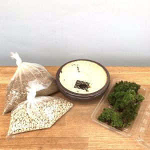 さあ、盆栽を作ってみませんか？こけ コケ 苔 ぼんさい