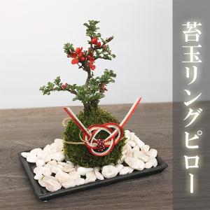 添配 盆景 鹿 しか 対 つい 銅製 ミニチュア : みどり屋 和草(にこぐさ