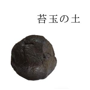 苔玉づくり 苔玉の土 5個セット こけだま こ...の詳細画像1