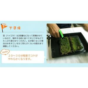 苔玉づくり 苔玉の土 5個セット こけだま こ...の詳細画像5