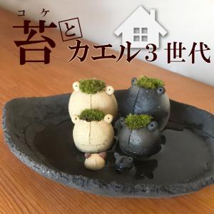 添配 盆景 矮鶏 ちゃぼ 対 つい 銅製 チャボ にわとり 鶏 ニワトリ