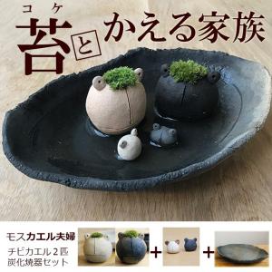 花瓶 陶器 寸胴花瓶 青磁竹節 美濃焼 業務用 フラワーベース 23y3404