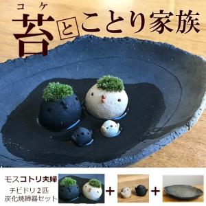 盆栽鉢】 桜島産 付け石 【軽石鉢】（希少なかわいい豆な石）サイズ