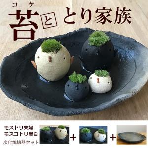 テラリウム ミニ容器 蓋付（取っ手有り） : 花郷園 KAGOEN NURSERY