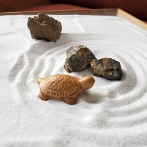 添配 ミニチュア 亀 かめ 中 陶器 枯山水 苔盆栽 苔テラリウム カメ