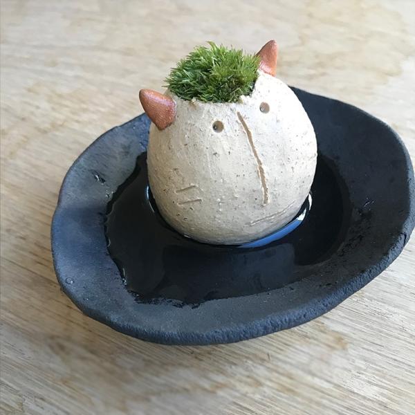 苔 コケ かわいい 真山茜 モスモス モスネコ 受け皿セット mosmos 益子 陶芸家 観葉植物 ...