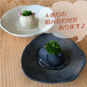 モスモスシリーズ 作家 真山茜 モス子カエル1...の詳細画像4