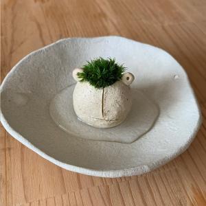 モスモスシリーズ 作家 真山茜 モス子カエル1...の詳細画像5