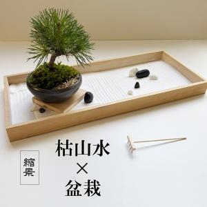 枯山水盆栽セット 枯山水 玉砂利 中サイズ + 黒松 盆栽 万古焼 くろまつ クロマツ