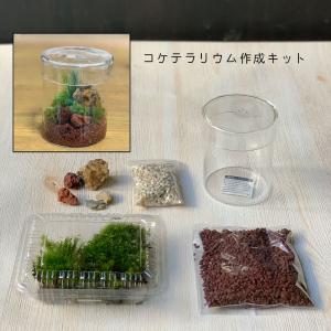 コケテラリウム 作成キット ガラス蓋つきポット ...の商品画像