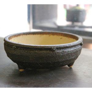 鉢 丸小紋 信楽焼鉢 茶鉢 直径 １５ ｃｍ