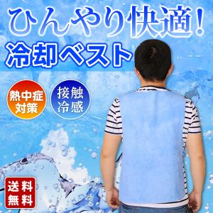 冷却ベスト クールベスト 熱中症対策 冷感 猛暑 物理冷却 ひんやり ベスト 夏 暑さ対策