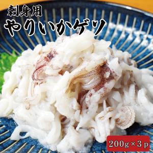 訳あり 刺身用 やりいかゲソ 200g×3パック おつまみ 海鮮