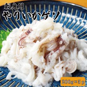 訳あり 刺身用 やりいかゲソ 200g×5パック おつまみ 海鮮
