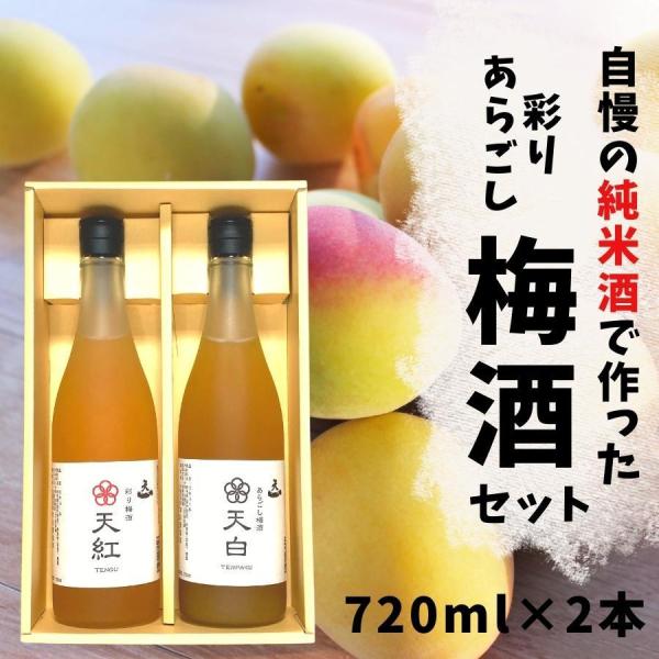 梅酒 日本酒 天紅 天白 2本入 720ml おすすめ 飲み比べ セット 酒 地酒 ランキング プレ...