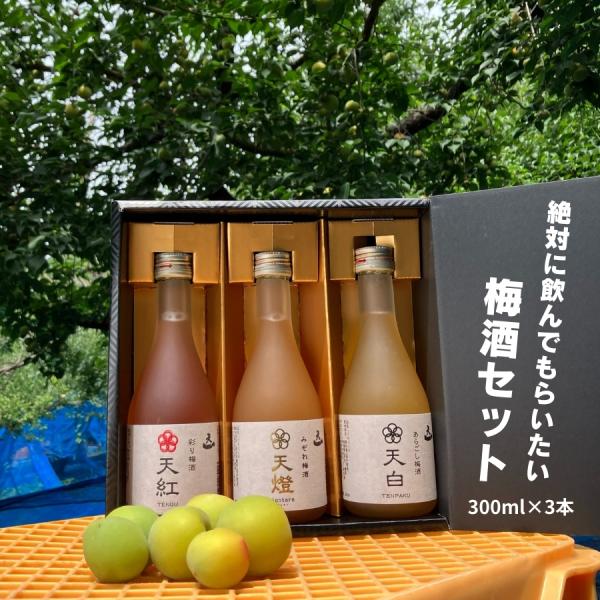 梅酒 南高梅 青梅 実入 完熟梅 3本入 300ml おすすめ 飲み比べ セット 酒 地酒 清酒 ラ...