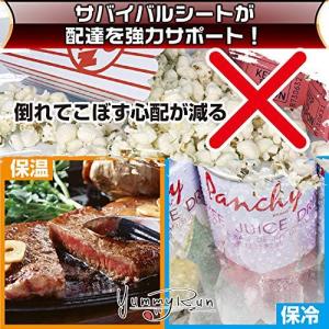 ウーバーイーツ専用サバイバルシート デリバリー...の詳細画像3