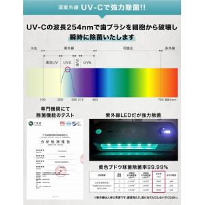 (10%OFFクーポン有) 歯ブラシ 除菌 歯...の詳細画像3