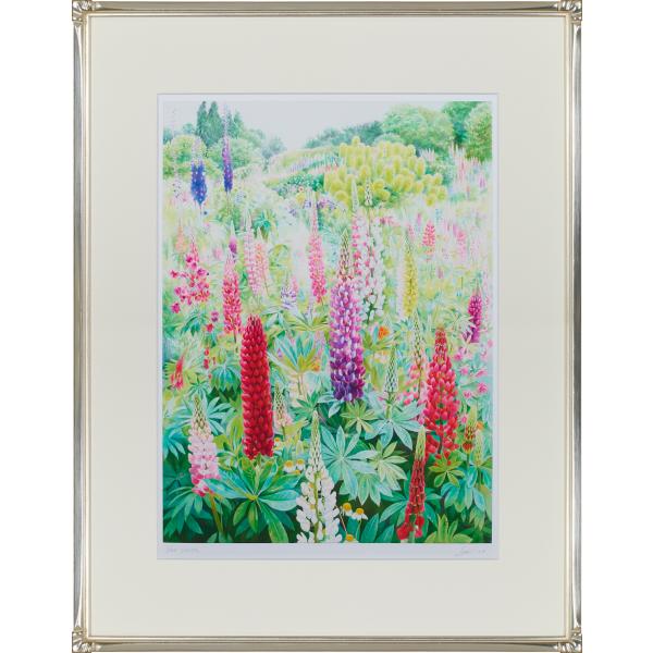 渡辺三絵子花の水彩画ジグレー版画（複製画）ルピナス