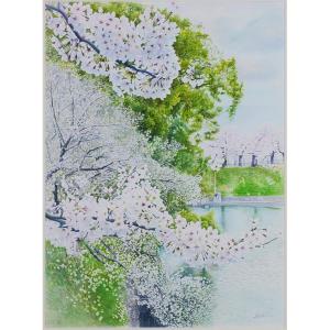 渡辺三絵子花の水彩画ジグレー版画（複製画）さくら
