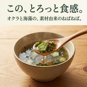 3袋セット スープ オクラと3種海藻のねばねば...の詳細画像5