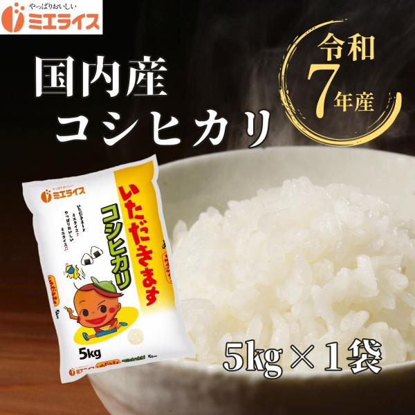 【精米】国内産コシヒカリ 5kg (5kg×1袋) 米 令和7年産