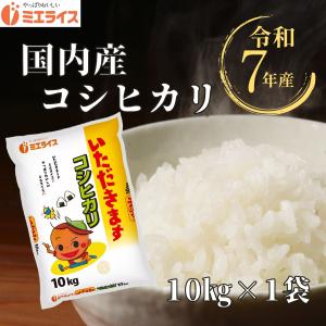 元気つくし [ 20kg (5kg×4袋) ] 令和7年産 福岡県産 農家直送 送料無料