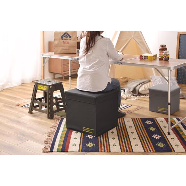 コンテナスツール L LFS-678 軽量 玄関用 収納 椅子 コンパクト チェア サブスツール 正...