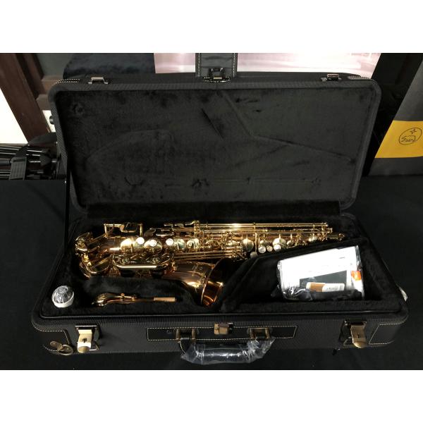 【新品】アルトサックス　ヤナギサワ　A-WO2