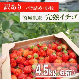 【今シーズン終了】送料無料/宮城県産/ジャム加工用イチゴ（小粒、ばら詰め）6箱(4.5kg)　日時指定可　ふぞろい　規格外
