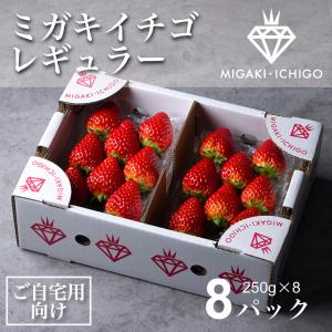 5月末で終了！【出荷日指定可】【ミガキイチゴ レギュラー(ご自宅用)8パック 250g×8】いちご 産地直送 新鮮 宮城県産 手土産 スタンダード L｜migaki-ichigo