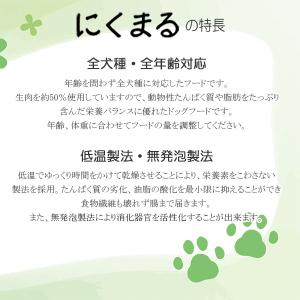犬のごはん 犬のエサ ドッグフード ドライフー...の詳細画像2