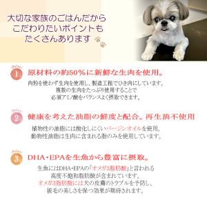 犬のごはん 犬のエサ ドッグフード ドライフー...の詳細画像5