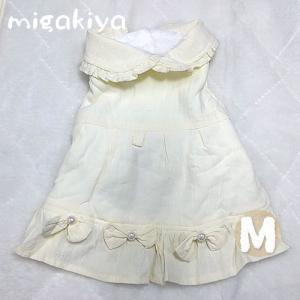 ANYA HINDMARCH アニヤハインドマーチ ドッグカラー Large Dog