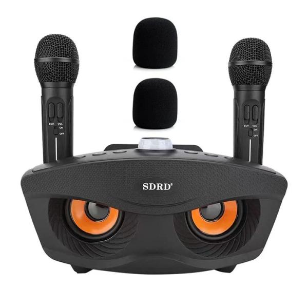 AUX カラオケマイク 家庭用カラオケシステム ワイヤレスマイク マイク2本 有線および無線接続 ブ...