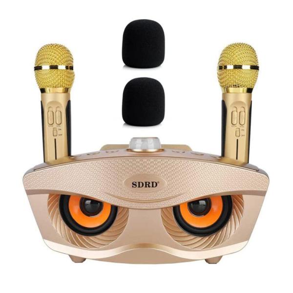 カラオケマイク 家庭用カラオケシステム ワイヤレスマイク マイク2本 有線および無線接続