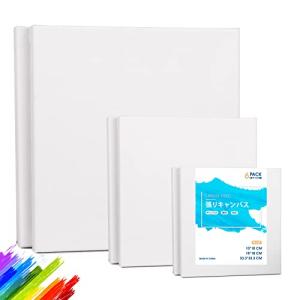 キャンバス 張りキャンバス S 油絵 キャンバス 画材 画布 油絵 絵画 張りキャンバス キャンバス絵画 キャンバス画材