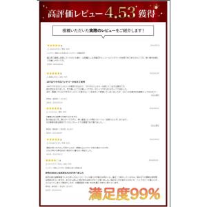 【2026新品】電動草刈機 草刈機 充電式 マ...の詳細画像2